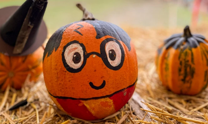 Halloween Pumpkin Painting Afternoon